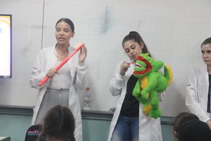 Palestra dentista - Imagem 20
