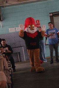 Formatura PROERD - quinto ano - Imagem 108